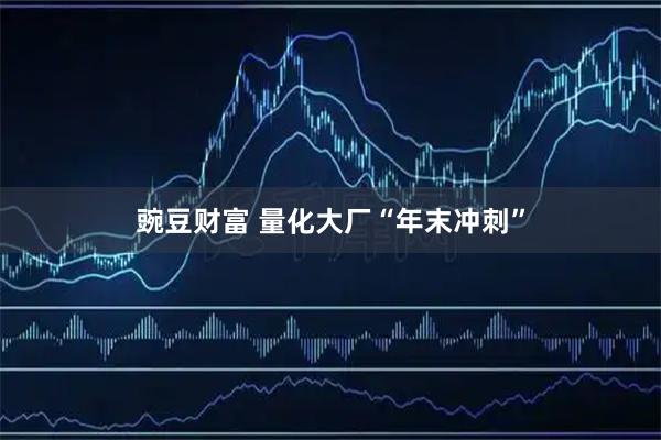 豌豆财富 量化大厂“年末冲刺”