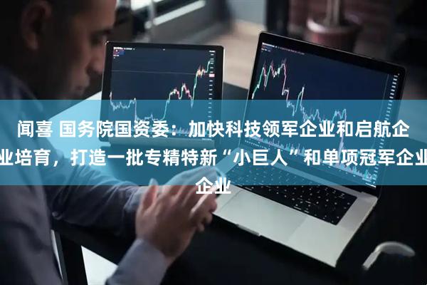 闻喜 国务院国资委：加快科技领军企业和启航企业培育，打造一批专精特新“小巨人”和单项冠军企业