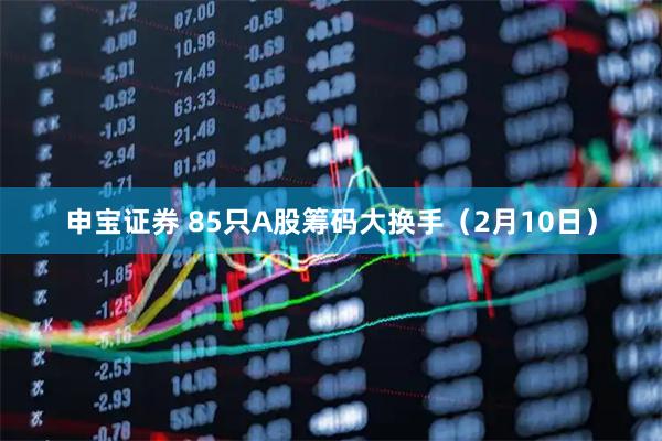 申宝证券 85只A股筹码大换手（2月10日）