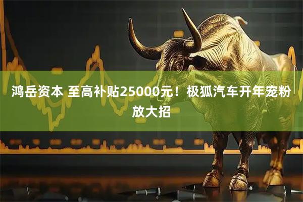 鸿岳资本 至高补贴25000元！极狐汽车开年宠粉放大招