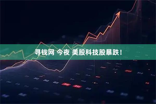 寻钱网 今夜 美股科技股暴跌！