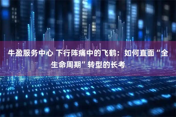 牛盈服务中心 下行阵痛中的飞鹤：如何直面“全生命周期”转型的长考
