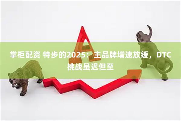 掌柜配资 特步的2025：主品牌增速放缓，DTC挑战虽迟但至