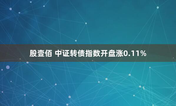 股壹佰 中证转债指数开盘涨0.11%